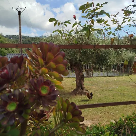 A La Campagne Lägenhet